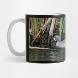 Blue-winged Teal South Texas Mug